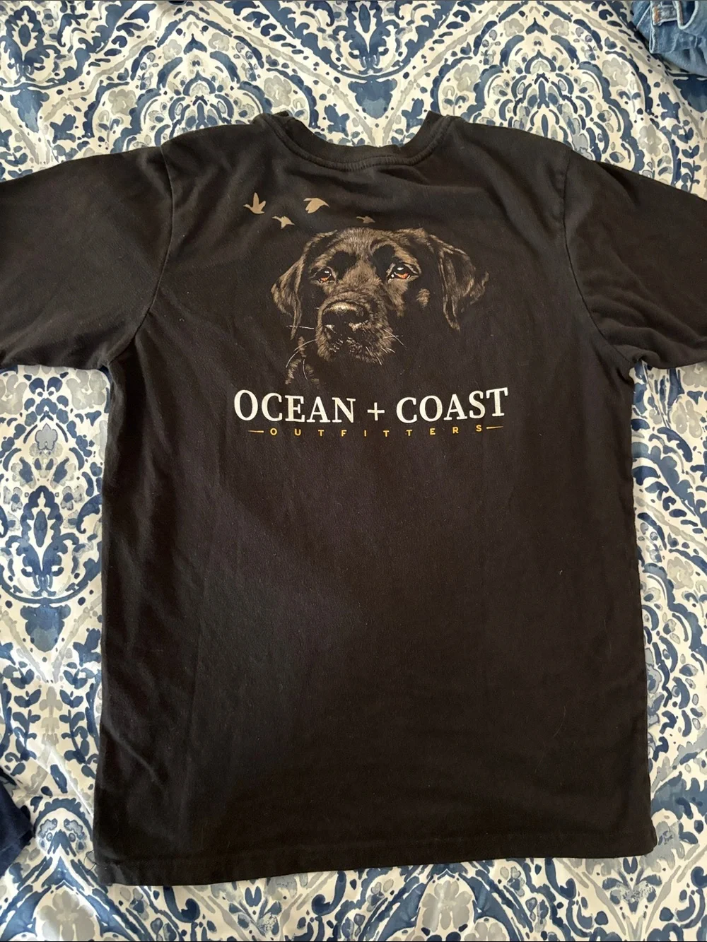 Ocean + Coast classic ocean